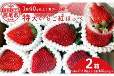 特大いちご(紅ほっぺ)　400g以上(7～10粒、１粒40g以上) ×2箱・O041