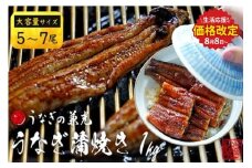【生活応援】大ボリューム1kg　愛知県三河一色産　うなぎ蒲焼き　（5尾～7尾）・U040-33 蒲焼き 総菜 国産うなぎ ウナギ 鰻 愛知県産 西尾市産 西尾一色産 タレ付き たれセット 蒲焼き かば焼き