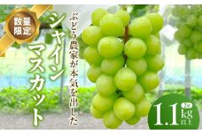 【数量限定】シャインマスカット(2房)1.1kg以上・E027