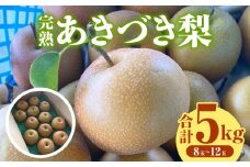 完熟　あきづき梨　5kg・K283-17-1