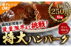 【250ｇ×10個】精肉卸問屋が自信をもってお届けする特大ハンバーグ（デミグラスソース） 冷凍 電子レンジOK 調理済・T098