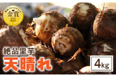 絶品里芋　～天晴れ～　4kg・S067