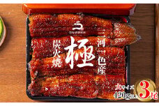 【８月限定！特別提供】三河一色産うなぎ蒲焼大3尾(420g以上)・R006_c1