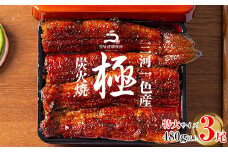 【８月限定！特別提供】三河一色産うなぎ蒲焼特大3尾(480g以上)・R008_c1