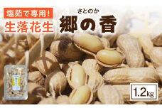 塩茹で専用！生落花生『300g×4パック』・S062