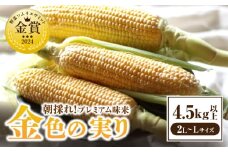 朝採れ！プレミアム味来　～金色の実り～　4.5kg以上(2L〜L)・S064