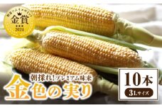朝採れ！プレミアム味来　～金色の実り～　10本・S065