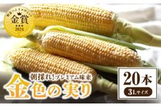 朝採れ！プレミアム味来　～金色の実り～　20本・S066