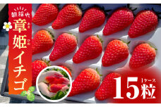 【2026年発送先行予約】章姫(あきひめ）イチゴ15粒×1ケース 【生産地】愛知県西尾市産・D033