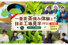 【体験期間4月末～5月中旬】一番茶茶摘み体験と抹茶工場見学(平日)チケット1名分・N065