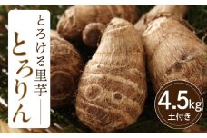 【お試し】とろける里芋『とろりん』土付き 4.5kg・H059