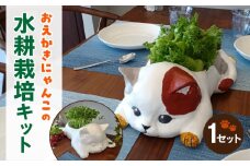 おえかきにゃんこの水耕栽培キット・K288