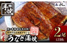 【父の日までにお届け】一色産うなぎ　炭焼き蒲焼2尾　職人手焼き  鰻 ウナギ うなぎ 蒲焼 国産 うなぎ蒲焼 タレ付き たれ 国産うなぎ 蒲焼き うな丼 丑の日 土用の丑の日 ・I034-20