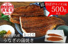 【土用の丑の日までにお届け】国産 三河産 うなぎ 超おばけサイズ 蒲焼き 2尾 (合計500g以上) 国産うなぎ 本格 鰻 ウナギ 蒲焼 愛知県 西尾市 愛知養魚 たれ付き 惣菜 海鮮 丑の日 土用の丑の日 ・A116-21-c1