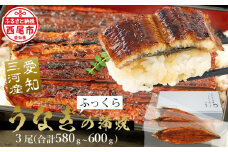 【土用の丑の日までにお届け】三河産うなぎ 蒲焼冷凍＜超特大＞3尾（合計580ｇ～600ｇ）「生産者愛知養魚」がお届け うなぎ 蒲焼き 鰻 ウナギ 国産うなぎ 愛知県 西尾市 大きいうなぎ 丑の日 土用の丑の日 A091-26-c1