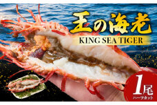 【高級】King Sea Tiger 王の海老　ハーフカット・K306