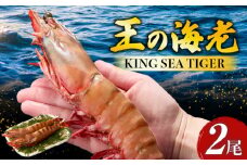 【高級】King Sea Tiger 王の海老2尾・K305