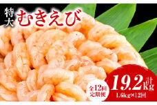【定期便12回】特大大盛むきえび1.6kg（正味）《配達不可エリア：北海道・沖縄・離島》・K304