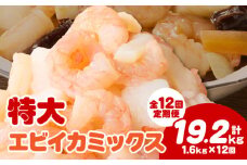 【定期便12回】特大大盛エビイカミックス　1.6kg（正味）《配達不可エリア：北海道・沖縄・離島》・K309