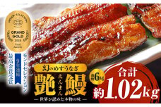 三河一色産　幻のめすうなぎ艶鰻　蒲焼6尾・T118