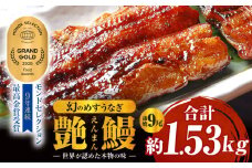 三河一色産　幻のめすうなぎ艶鰻　蒲焼9尾・T119