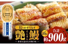 三河一色産　幻のめすうなぎ艶鰻　白焼6尾・T122