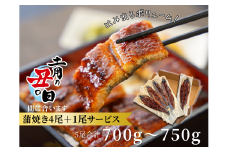 三河産うなぎ「蒲焼大サイズ4尾+1尾(計700～750g)」・A202