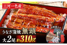 【土用の丑の日までにお届け】三河一色産　うなぎ蒲焼　大サイズ2尾　無頭（1尾約155ｇ）　国産　M044-19-c1うなぎ 三河 愛知 一色 日本産 鰻 蒲焼き うなぎ蒲焼 鰻蒲焼き うな丼 うな重 