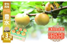 【数量限定】＜きらり園＞　完熟　豊水梨　3㎏・K341