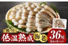 殻付き低温熟成海老6尾×6P・K318