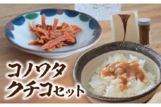 コノワタ・クチコセット・K335