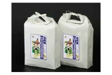 【令和7年産】西尾のお米10kg(こしひかり5kg×2)・K195-31