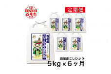 【令和7年産】【定期便】西尾のお米＜こしひかり＞5kg×6ヶ月・K201-108