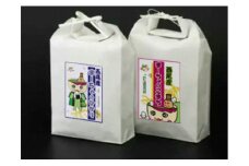 【令和7年産】西尾のお米10kg(こしひかり5kg・あきたこまち5kg)・K217-31