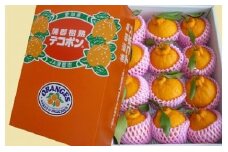【G0004】【期間限定】蒲郡樹熟デコポン 約３ｋｇ