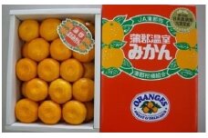 【G0001】【期間限定】蒲郡温室みかん２．５ｋｇ（秀品）
