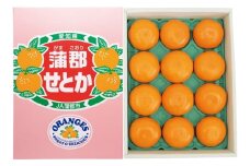 【G0003】【期間限定】蒲郡みかん「せとか」約3kg