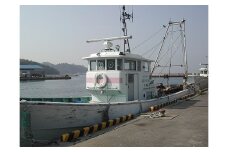 【G0124】観光底引き網体験　採れた魚介類のお土産付き