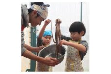 【G0161】【数量限定】蒲郡海鮮市場　うんまいタコのゆでたて体験（ご来店・体験プラン)＋ご当地名産品土産つき（めひかり味噌・アカザエビせんべい・ガマゴリうどん）