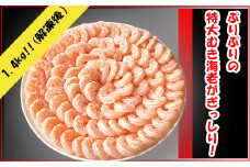 【G0334】特大ムキエビ 1.4kg