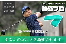 【G0409】バランストレーニングクッション　軸感プロ