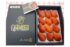 【G0358】【期間限定】サンベリー蒲郡いちご「あきひめ」（12個入）