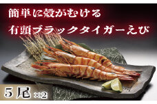 【G0438】【数量限定】簡単に殻がむける有頭ブラックタイガーえび 10尾480g