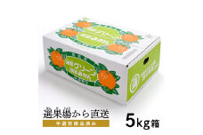【G0487】【数量限定】蒲郡グリーン　温室みかん　5kg