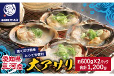 【Ｇ0657】【愛知県三河産】大アサリハーフカット 6個入×2パック