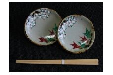 13-21_犬山焼 雲錦手小皿２枚組｜焼きもの 伝統工芸 食器 2枚組 犬山 手作り 桜 紅葉 雲錦手 古風 年代 時代