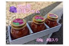 10-36_犬山産「巨峰ジャム」120g　3個入り ｜ ジャム セット 3個 ぶどう ブドウ 巨峰 洋菓子 和菓子