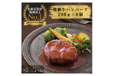 14-31_La vita 飛騨牛ハンバーグ（冷凍）200g×8個｜ 飛騨牛 豚肉 ジューシー オリジナル 手づくり 肉汁 ハンバーグ 1.6kg 冷凍 1.6キロ レストラン 特製 手作り 解凍 イタリアンレストラン 牛肉 贅沢 ごほうび お取り寄せ グルメ 愛知