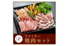 22-17_ファミリー焼肉セット (冷凍)｜牛肉 豚肉 鶏肉 ソーセージ 家族 仲間 詰め合わせ バーベキュー BBQ サイトウハム SAITOHAM