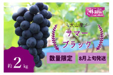 19-13_【期間限定・数量限定】林ファーム園主イチオシ！犬山産 極甘 サマーブラック 約2キロ（2025年先行予約） ｜ ぶどう 甘い 2キロ 限定 夏 林ファーム 房 ブドウ 大粒 犬山 珍しい 贈答 プレゼント ご褒美 進物 種なし